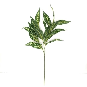 Green Dieffenbachia Spray 80cm