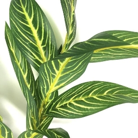 Green Dieffenbachia Spray 80cm