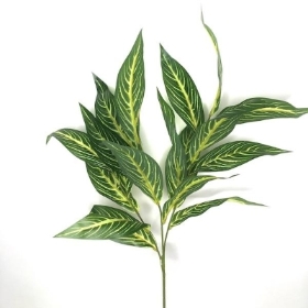 Green Dieffenbachia Spray 80cm