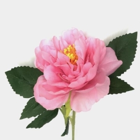 Pink Open Peony Stem 50cm