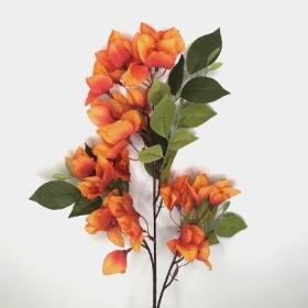 Orange Bougainvillea 76cm