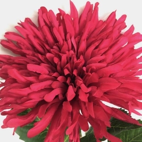 Fuchsia Chrysanthemum 62cm