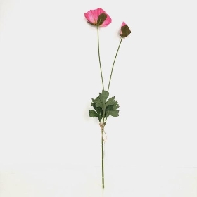 Pink Poppy Stem 60cm