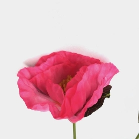 Pink Poppy Stem 60cm