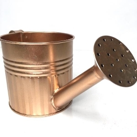 Rose Gold Watering Can 10cm