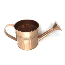 Rose Gold Watering Can 10cm