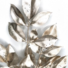 Champagne Beech Spray 51cm