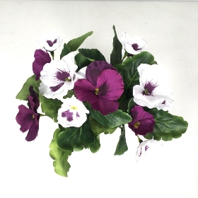 Purple Pansy in Ceramic Pot 25cm