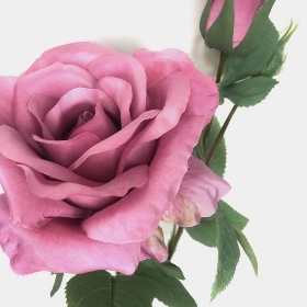 Mauve Tintagel Spray Rose 64cm