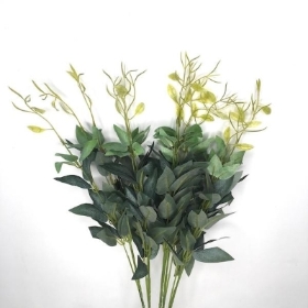 Dark Green Ruscus Bush 50cm