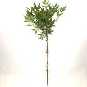 Bayleaf Spray 100cm