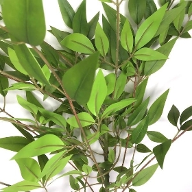 Bayleaf Spray 100cm