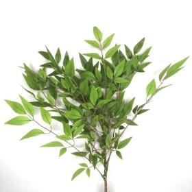 Bayleaf Spray 100cm