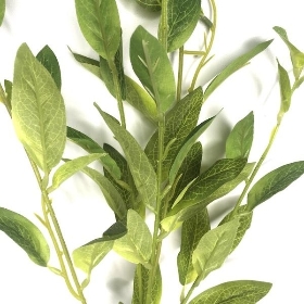 Green Privet Spray 100cm