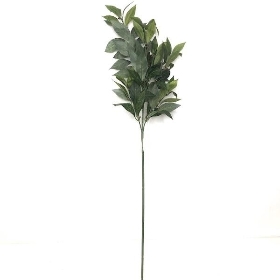 Bay Leaf Spray 74cm