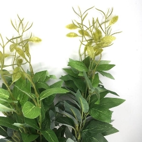 Light Green Ruscus Bush 50cm