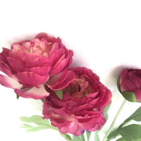 Dark Pink Ranunculus 49cm