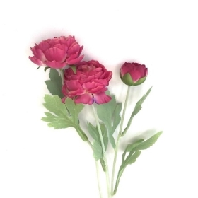 Dark Pink Ranunculus 49cm