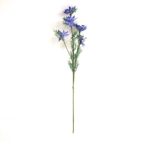 Blue Love-in-a-Mist 59cm