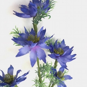 Blue Love-in-a-Mist 59cm