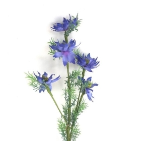 Blue Love-in-a-Mist 59cm