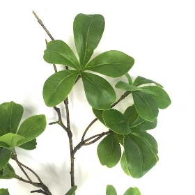 Almond Leaf Spray 67cm