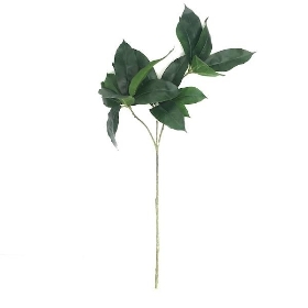 Octopus Leaf Spray 80cm