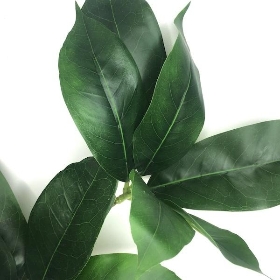 Octopus Leaf Spray 80cm