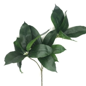 Octopus Leaf Spray 80cm