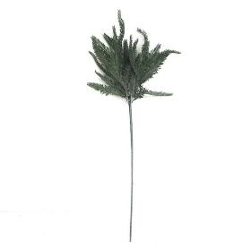 Sword Fern Bush 60cm