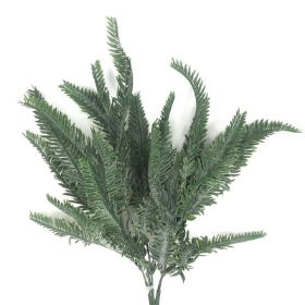 Sword Fern Bush 60cm