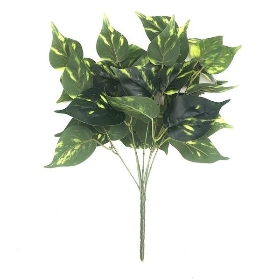 Variegated Philodendron Bush 43cm