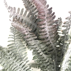 Frosted Soft Fern Bush 56cm