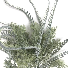 Dusted Twined Fern Bush 44cm
