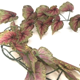 Begonia Leaf Garland 178cm
