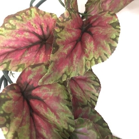 Begonia Leaf Garland 178cm