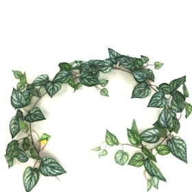 Devil's Ivy Garland 150cm