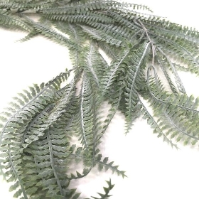 Trailing Blechnum Fern 108cm