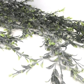 Trailing Needle Leaf 100cm
