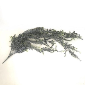 Trailing Needle Leaf 100cm