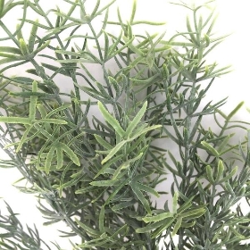 Essential Herb Bush 34cm