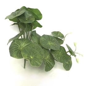 Pennywort Leaf 23cm