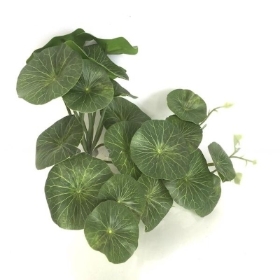 Pennywort Leaf 23cm