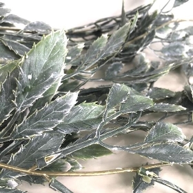 Trailing Frosted Spiky Leaf 104cm