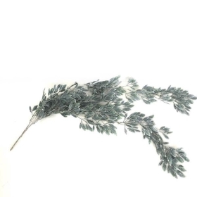 Trailing Frosted Spiky Leaf 104cm
