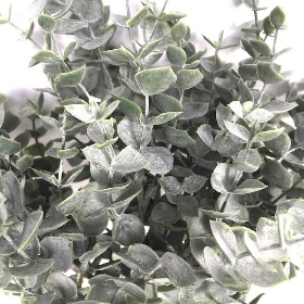 Eucalyptus Bundle 39cm
