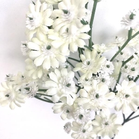 White Cottage Daisy 68cm