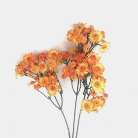 Orange Cottage Daisy 68cm