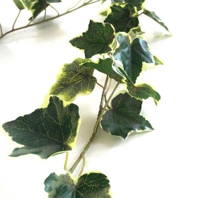 Green Garden Ivy Garland Variegated 180cm