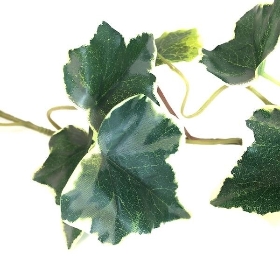 Green Garden Ivy Garland Variegated 180cm